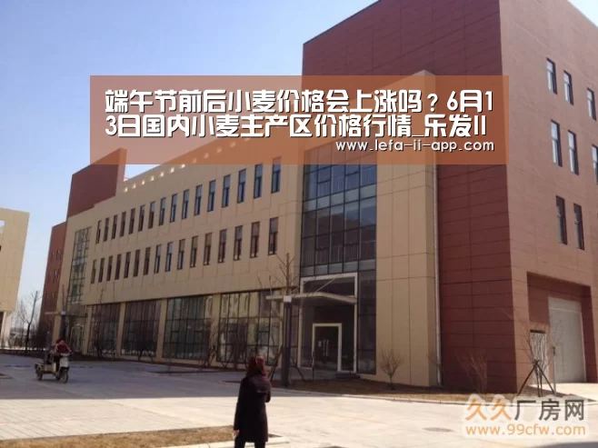 端午节前后小麦价格会上涨吗?6月13日国内小麦主产区价格行情_乐发II官网(图1) 乐发II官方入口