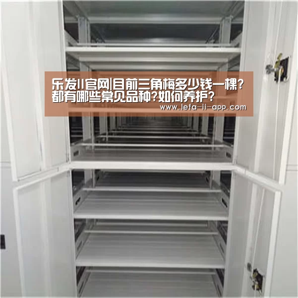 乐发II官网|目前三角梅多少钱一棵?都有哪些常见品种?如何养护?(图1) 乐发II官方入口