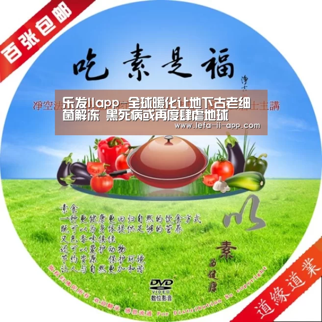 乐发IIapp