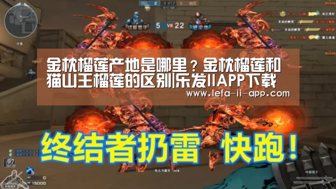 金枕榴莲产地是哪里?金枕榴莲和猫山王榴莲的区别|乐发IIAPP下载(图1) 乐发II官方入口