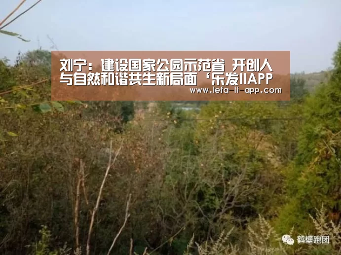 乐发II官网