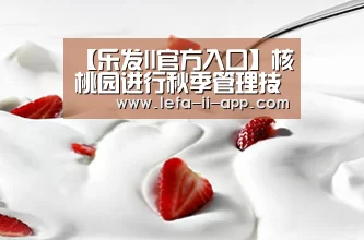 乐发IIapp