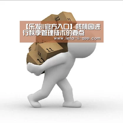乐发II官网