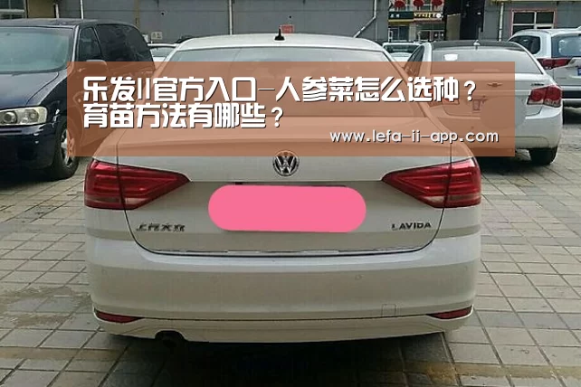 乐发II官方入口-人参菜怎么选种?育苗方法有哪些?(图1) 乐发IIapp