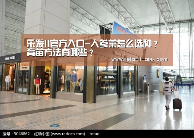 乐发II官方入口-人参菜怎么选种?育苗方法有哪些?(图3) 乐发II官网
