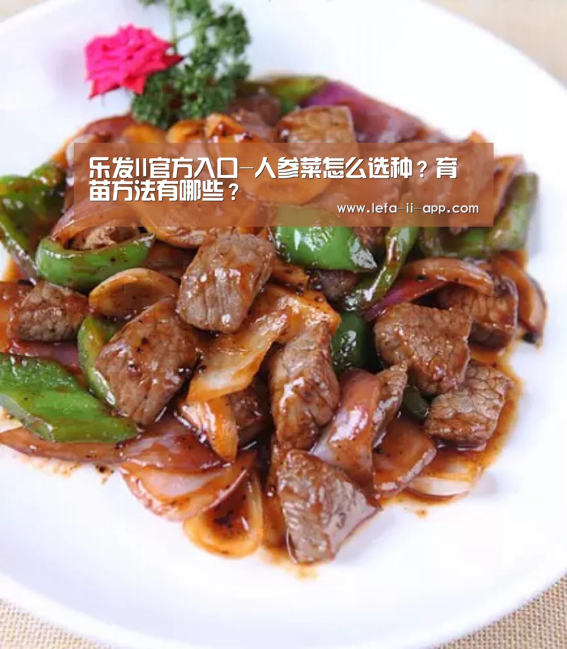 乐发II官方入口-人参菜怎么选种?育苗方法有哪些?(图2) 乐发IIapp