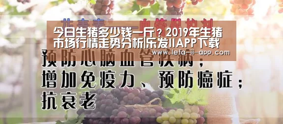 今日生猪多少钱一斤?2019年生猪市场行情走势分析|乐发IIAPP下载(图3) 乐发IIAPP下载
