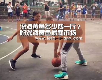 乐发II官网