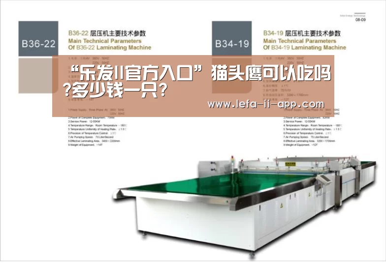 乐发II官方入口