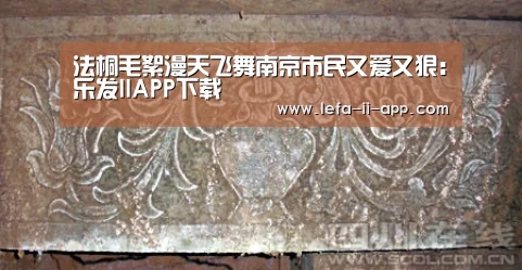 乐发IIAPP下载