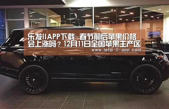 乐发II官方入口