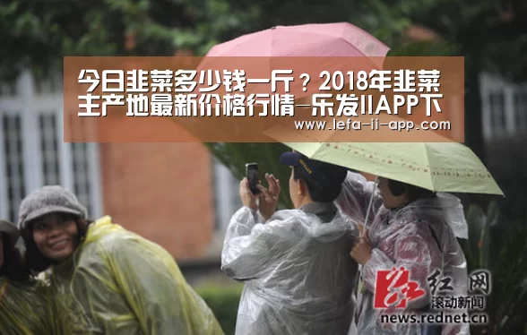 乐发IIapp