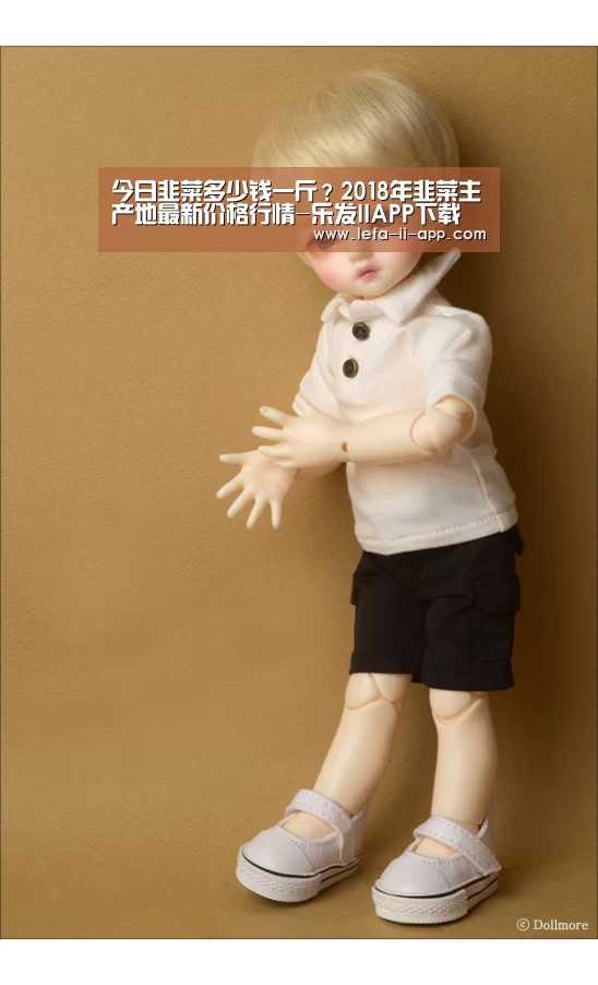 乐发IIapp