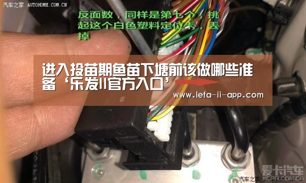 乐发IIAPP下载