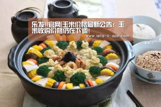 乐发II官网