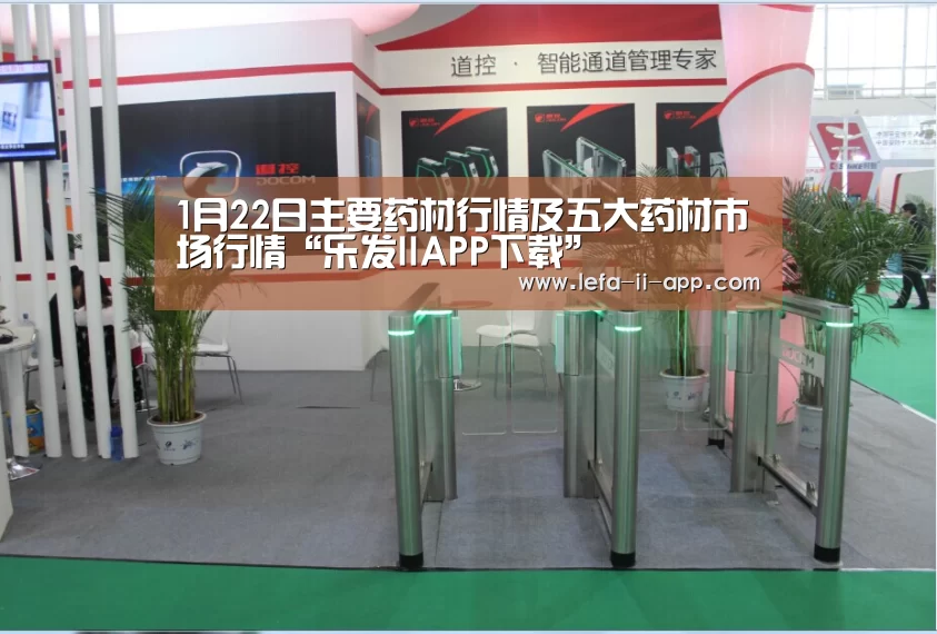 乐发II官网