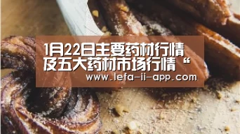 乐发IIapp