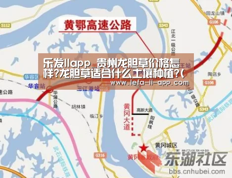 乐发IIapp_贵州龙胆草价格怎样?龙胆草适合什么土壤种植?(附购买技巧)(图3) 乐发IIAPP下载