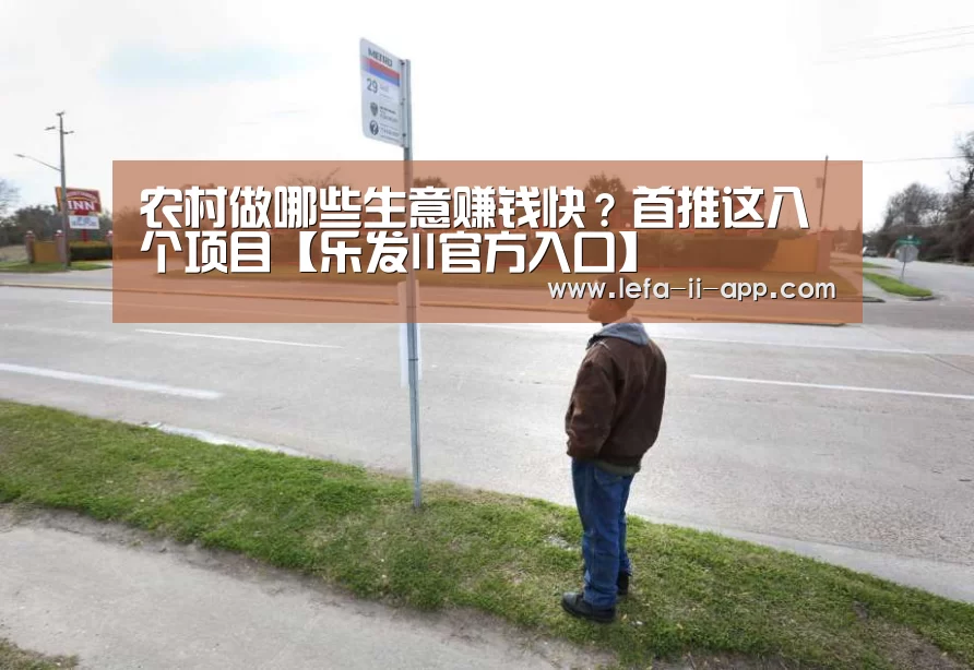 农村做哪些生意赚钱快?首推这八个项目【乐发II官方入口】(图1) 乐发II官网