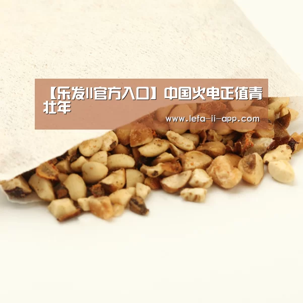 【乐发II官方入口】中国火电正值青壮年(图1) 乐发IIapp
