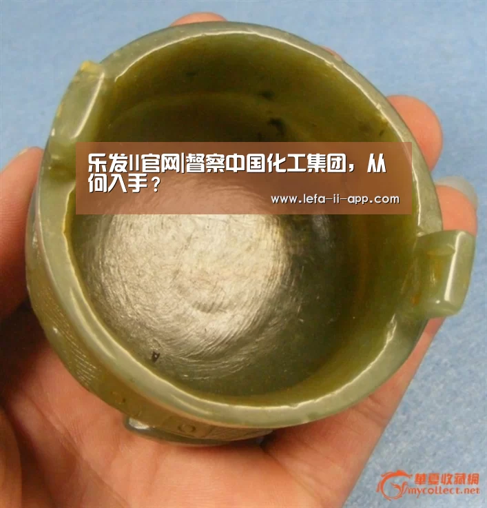 乐发II官网|督察中国化工集团,从何入手?(图1) 乐发II官方入口