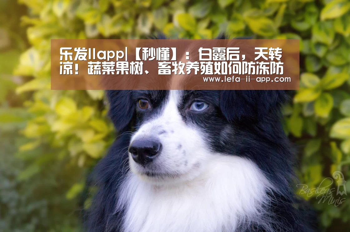 乐发IIapp|【秒懂】:白露后,天转凉!蔬菜果树、畜牧养殖如何防冻防虫害?(图1) 乐发II官方入口