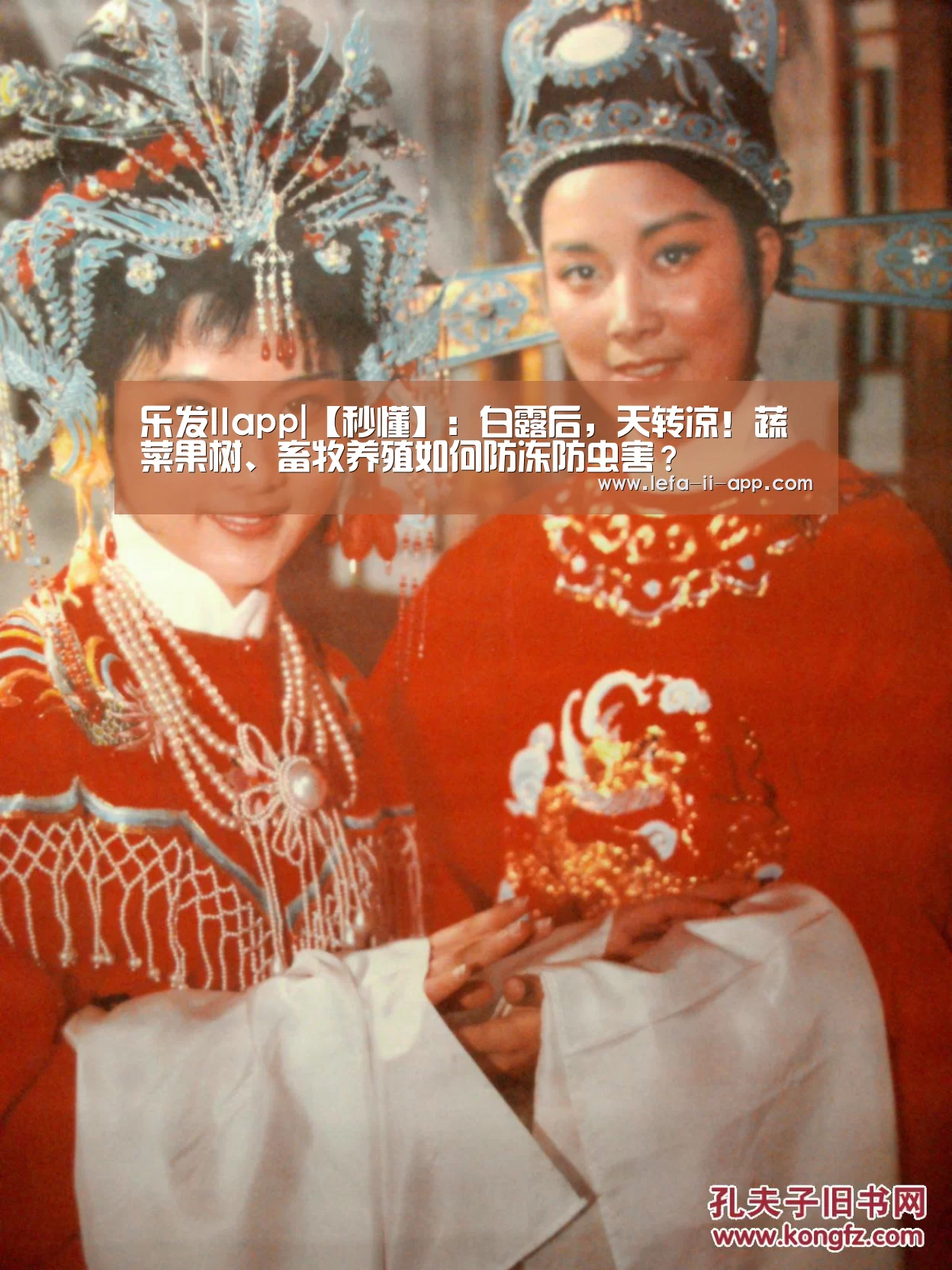 乐发IIapp|【秒懂】:白露后,天转凉!蔬菜果树、畜牧养殖如何防冻防虫害?(图3) 乐发II官网