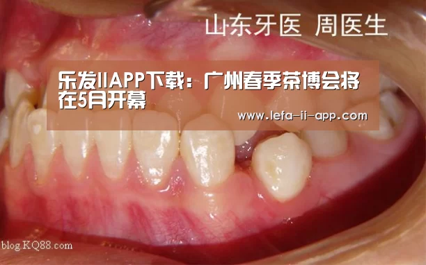 乐发IIAPP下载:广州春季茶博会将在5月开幕(图2) 乐发II官方入口