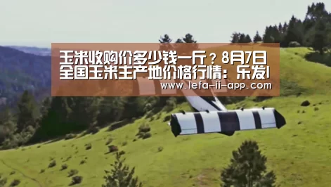 玉米收购价多少钱一斤?8月7日全国玉米主产地价格行情:乐发II官网(图4) 乐发II官方入口