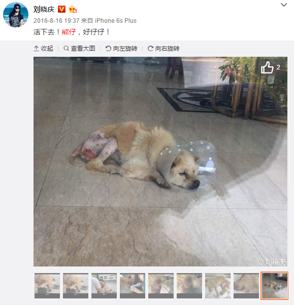 乐发II官方入口_藏在农村不起眼的暴利项目有哪些?这几个有“钱”景很好!(图3) 乐发II官方入口
