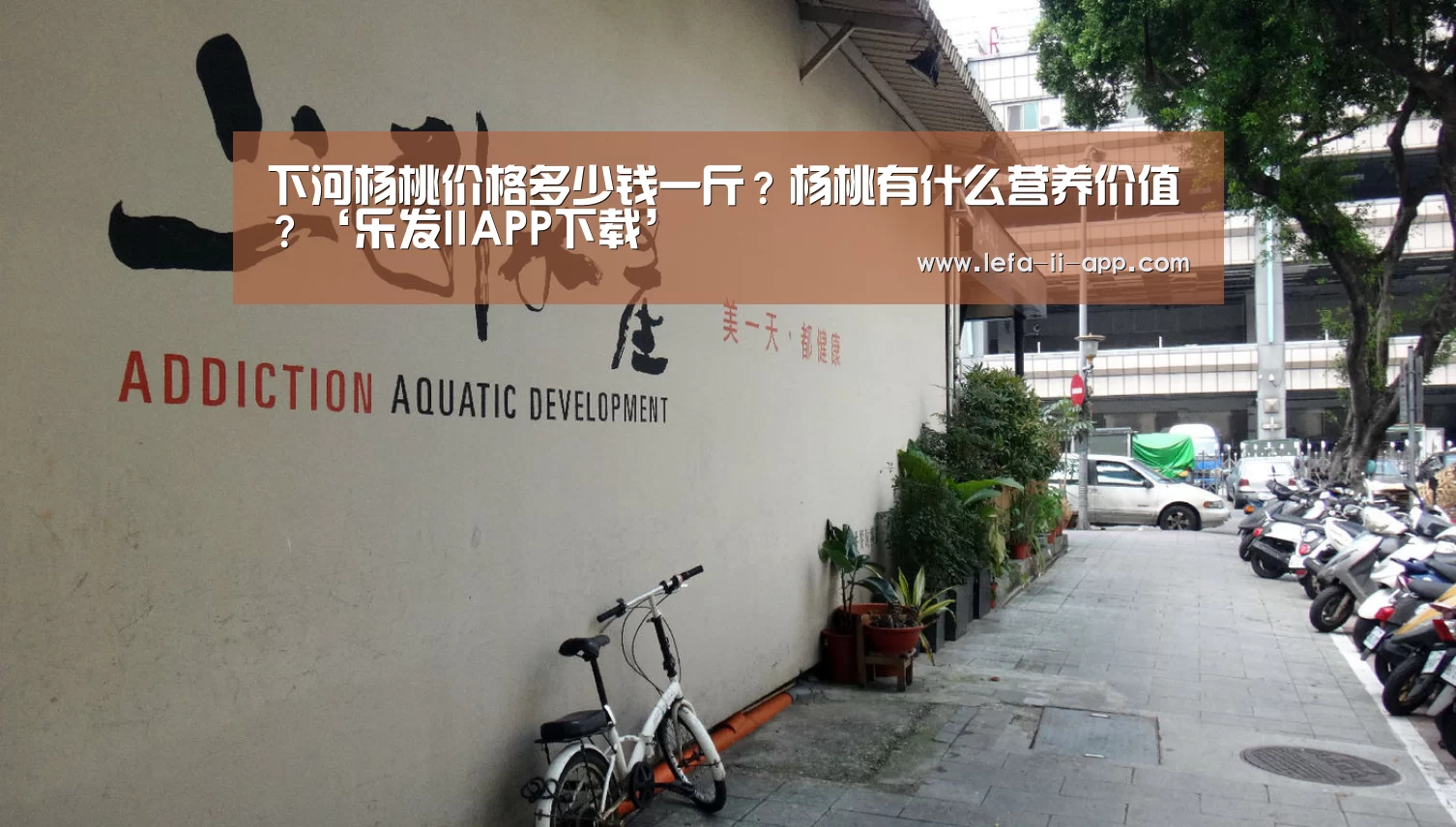 下河杨桃价格多少钱一斤?杨桃有什么营养价值?‘乐发IIAPP下载’(图1) 乐发IIapp