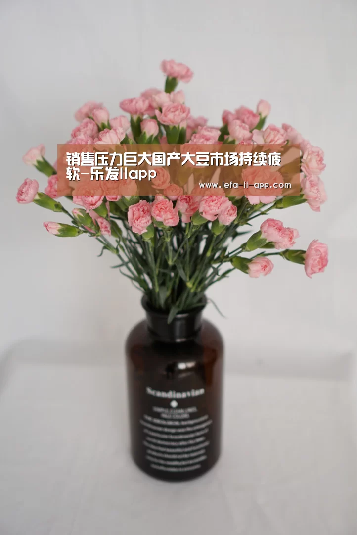 销售压力巨大国产大豆市场持续疲软-乐发IIapp(图2) 乐发IIapp