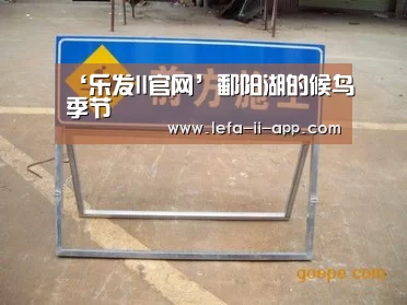 ‘乐发II官网’鄱阳湖的候鸟季节(图3) 乐发IIapp
