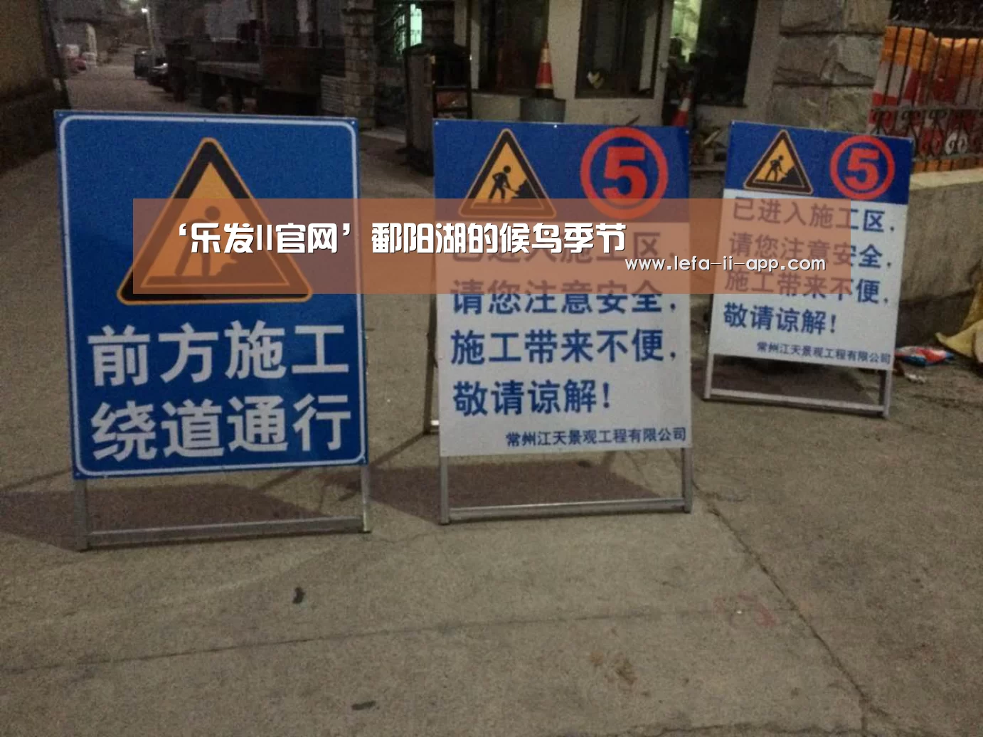 ‘乐发II官网’鄱阳湖的候鸟季节(图4) 乐发II官网
